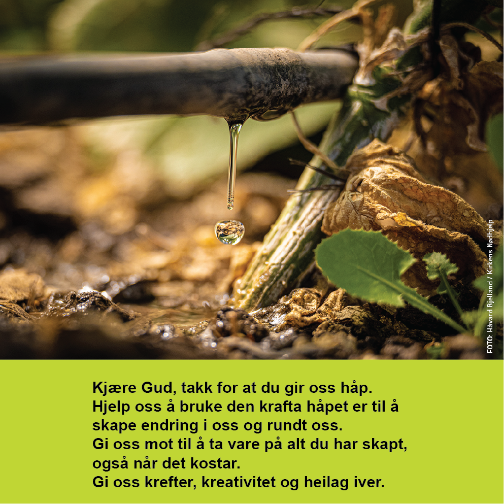 Fastetida - grøn veke